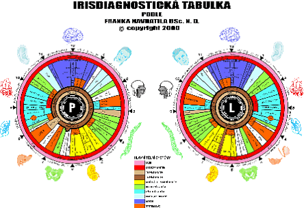  - irismap